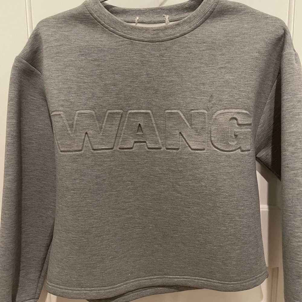 COPY - Alexander Wang grey sweater!